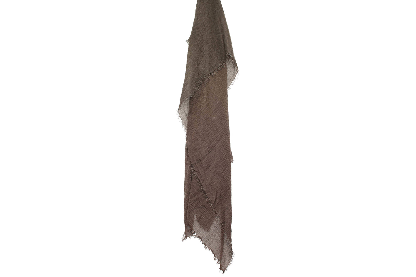 Bistre x Wrinkle | Modestique